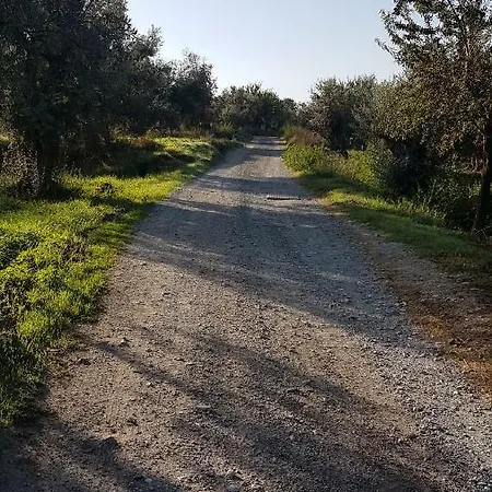 Casa Adriana * Murchas